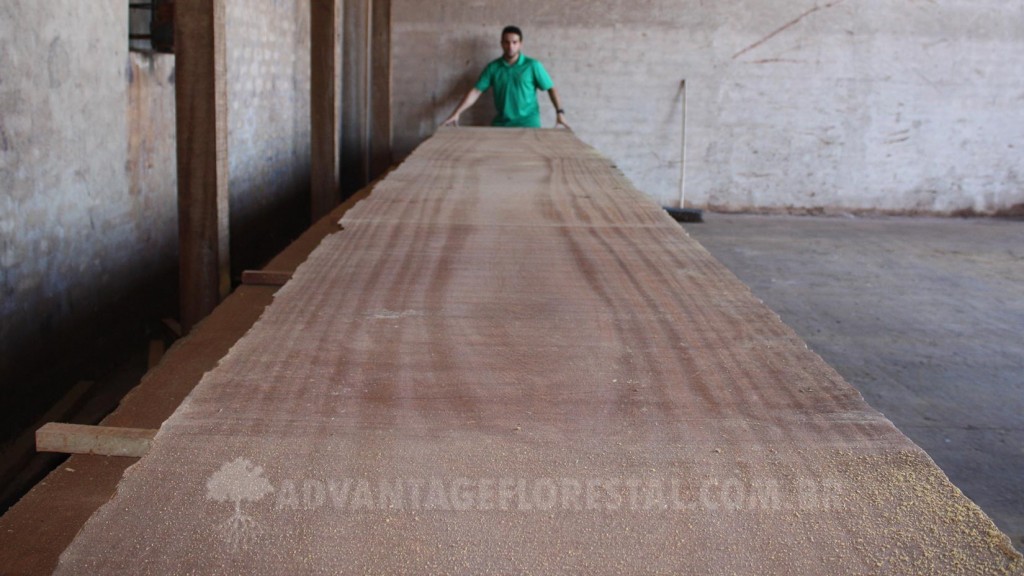 Angelim - Pedra - Hardwood lumber products