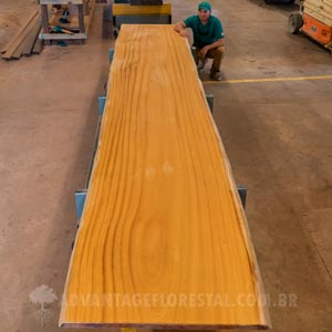 Tatajuba Wood Slabs