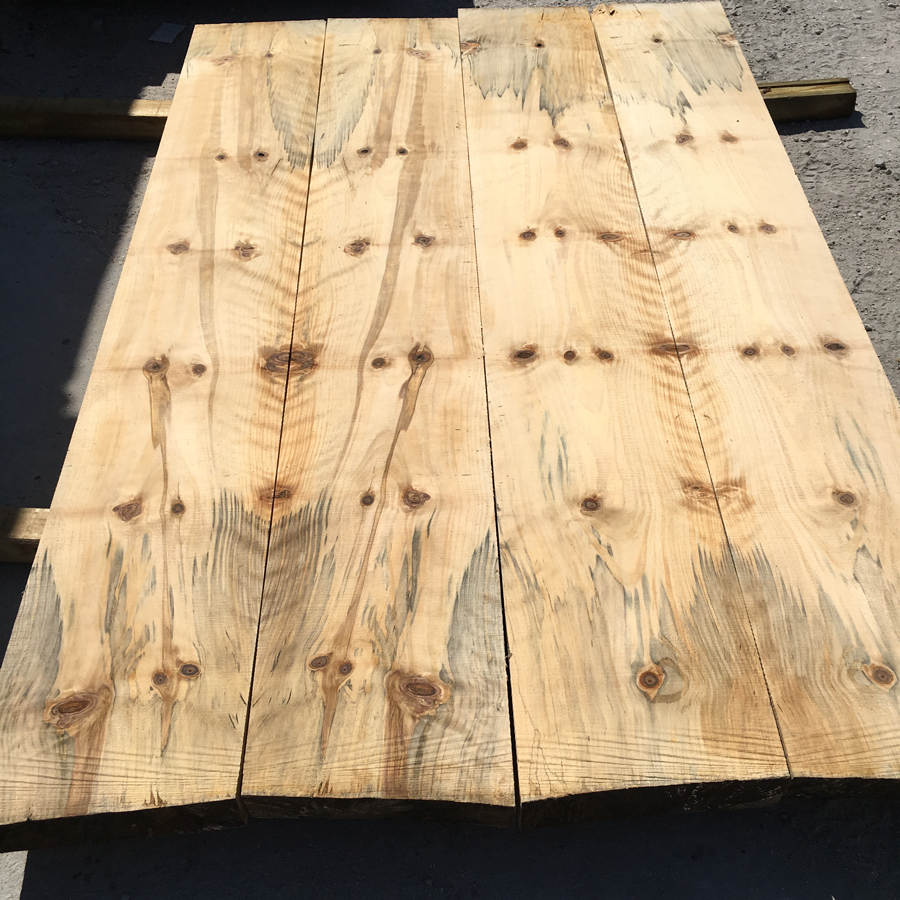 Norfolk Island Pine - Hardwood lumber products