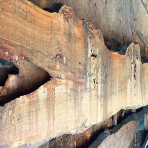 Cumaru Wood Slabs