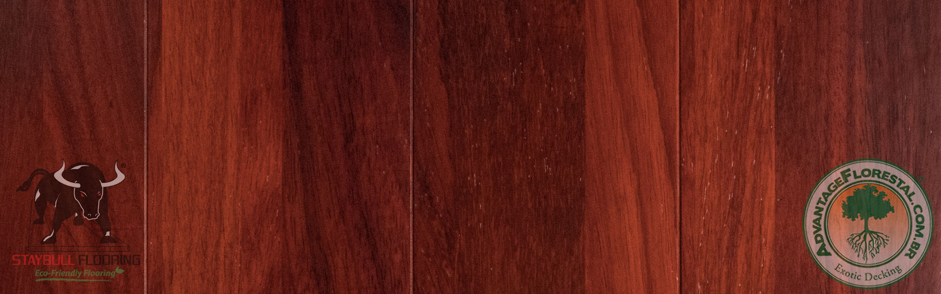 Staybull African Padauk eco-friendly exotic hardwood flooring