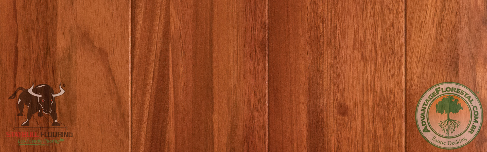 Staybull Brazilian Cherry eco-friendly exotic hardwood flooring